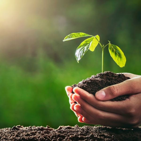 TerraNutrix fertilizer company usa