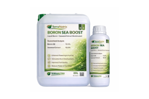boron fertilizer