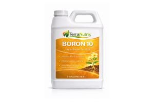 boron fertilizer