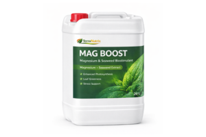 magnesium fertilizer
