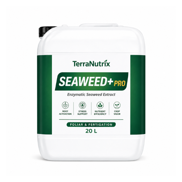 liquid seaweed fertilizer
