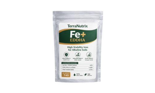 chelated iron fertilizer